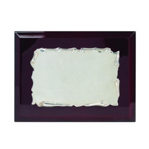 PLACA DE HOMENAJE DE PLATA 1ª LEY. 2 TAMAÑOS.