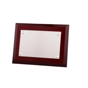 PLACA DE HOMENAJE DE PLATA 1ª LEY. 2 TAMAÑOS.