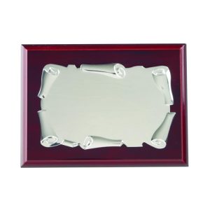 PLACA DE HOMENAJE MINI. 1 TAMAÑO.