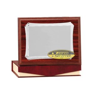 PLACA DE HOMENAJE. 3 TAMAÑOS.