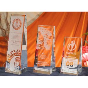 CRISTAL DELUXE GRABADO. 3 TAMAÑOS.