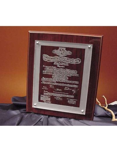 METOPA GRANDE DE CRISTAL DELUXE GRABADA.