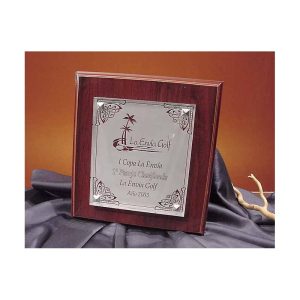 METOPA DE CRISTAL DELUXE GRABADA.