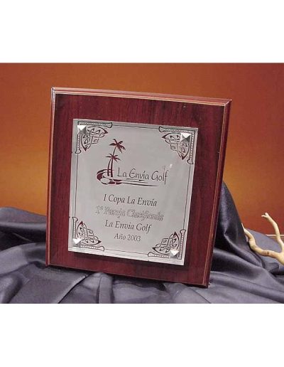 METOPA DE CRISTAL DELUXE GRABADA.