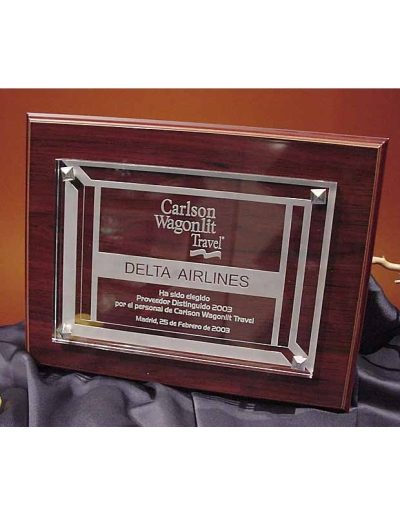 METOPA DE CRISTAL DELUXE GRABADA.