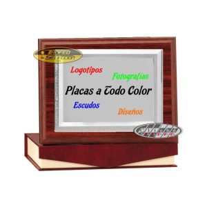 PLACA DE HOMENAJE PERSONALIZADA A COLOR. 3 T.