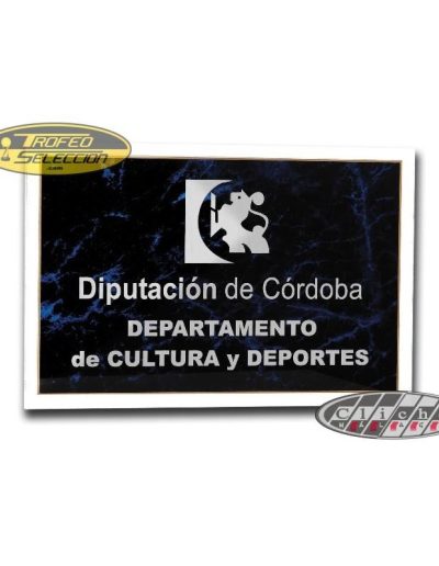 PLACA DE EXTERIOR GRANDE GRABADA.