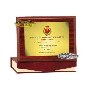 PLACA DE HOMENAJE PERSONALIZADA A COLOR. 3 T.