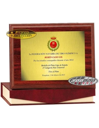 PLACA DE HOMENAJE PERSONALIZADA A COLOR. 3 T.