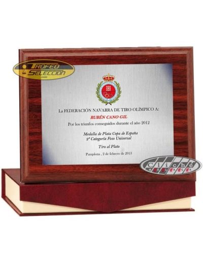 PLACA DE HOMENAJE PERSONALIZADA A COLOR. 3 T.