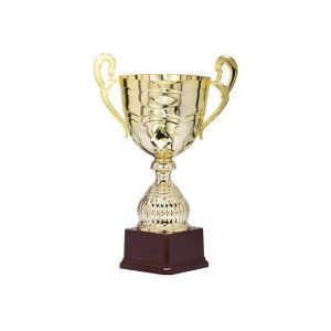 COPA DEPORTIVA GAMA MEDIA. 5 TAMAÑOS.