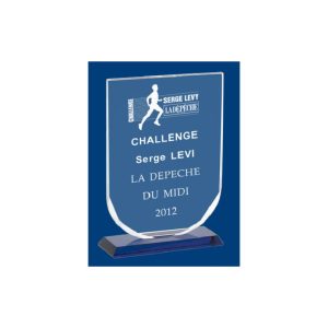 CRISTAL GRABABLE CON ESTUCHE. 4 TAMAÑOS.