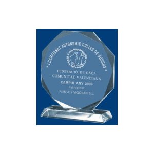 CRISTAL GRABABLE CON ESTUCHE. 4 TAMAÑOS.