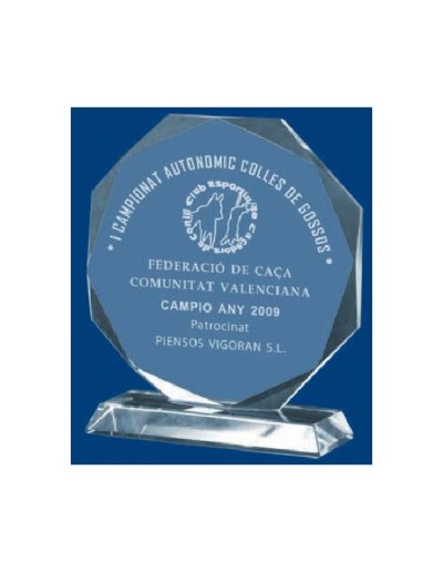 CRISTAL GRABABLE CON ESTUCHE. 4 TAMAÑOS.