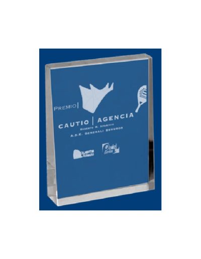 CRISTAL GRABABLE CON ESTUCHE. 3 TAMAÑOS.