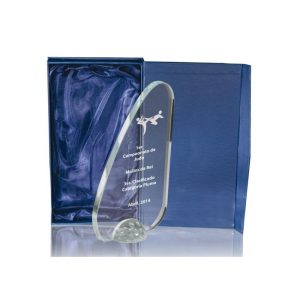 CRISTAL GRABADO CON ESTUCHE. 3 TAMAÑOS.