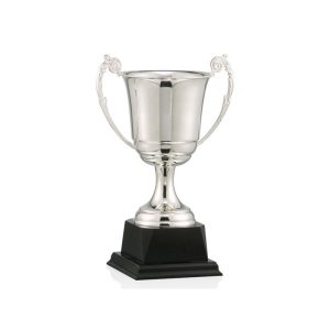 COPA ALPACA - BAÑO DE PLATA. 5 TAMAÑOS