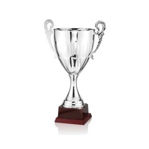 COPA DEPORTIVA GAMA ALTA. 4 TAMAÑOS.