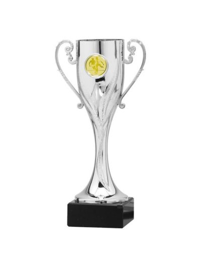 COPA ECONÓMICA ABS METALIZADA. 3 TAMAÑOS.