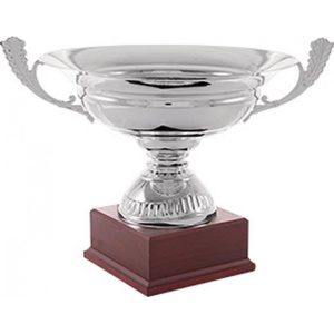 COPA DEPORTIVA GAMA ALTA. 3 TAMAÑOS.