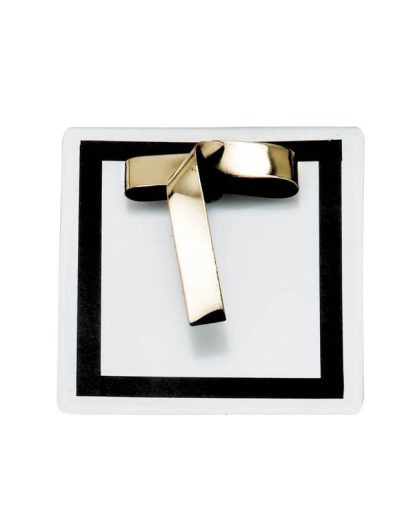 ALEGORÍA DE JUDO ARTES MARCIALES DE LATÓN