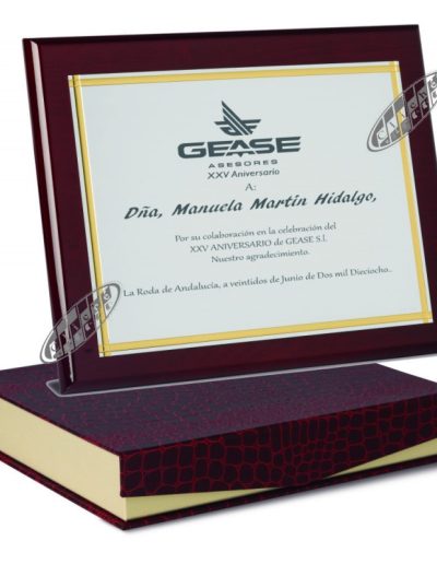 PLACA DE HOMENAJE DE ALPACA GRABADA. 1 TAM.