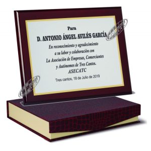 PLACA DE HOMENAJE DE ALPACA GRABADA. 1 TAM.